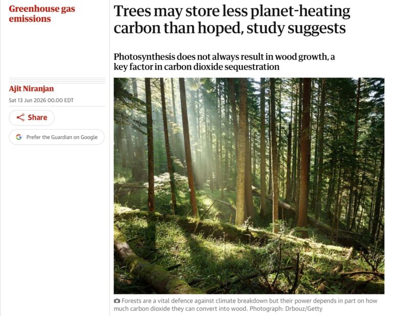 Image for the Tweet beginning: More carbon offset fraud: "Trees